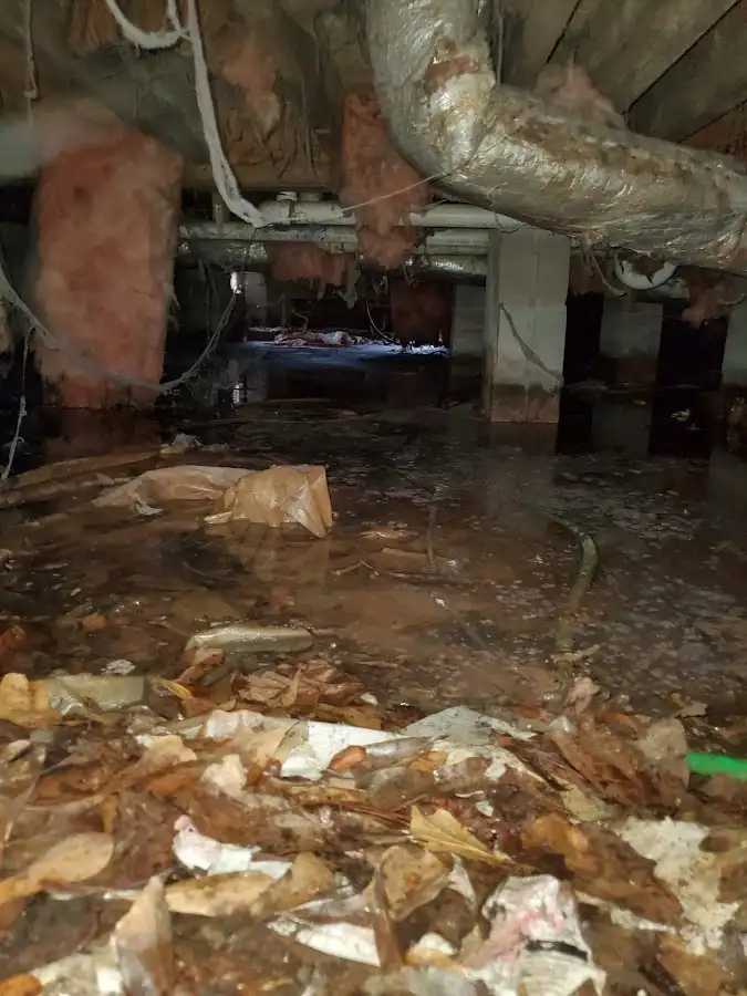 Crawl space flood assessment for Leak Detection & Repair in Round Rock